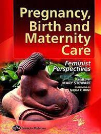 Pregrancy, Birth and Maternity Care : Feminist Perspectives
