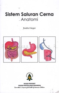 Sistem Saluran Cerna Anatomi